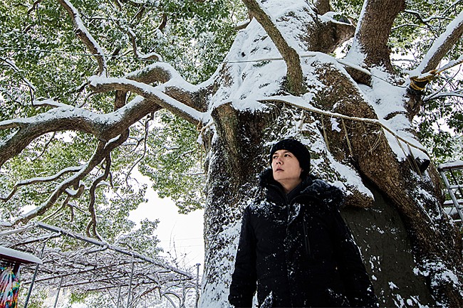 「福山雅治が「クスノキ」新録、配信利益の一部を「クスノキ基金」に寄付」1枚目/1