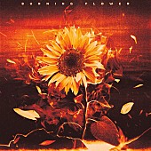 「【ビルボード】HANA最新曲「Burning Flower」DLソング首位デビュー、藤井 風／ミセスが続く」1枚目/2