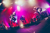 「MUCC、6/9“MUCCの日”に開催したリクエストライブのオフィシャルレポート到着」1枚目/7