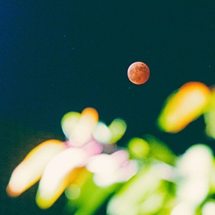 「シャイトープ「ランデヴー」累計3億回再生突破：今週のストリーミングまとめ」