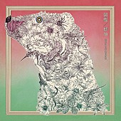 「SEKAI NO OWARI 通常盤B『図鑑／琥珀』」5枚目/7