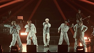 「Aile The Shota、東京ガーデンシアター単独公演からライブ映像2本をプレミアリレー公開」