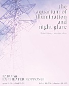 「【Homecomings &amp;quot;the aquarium of illumination and night glare&amp;quot;】」3枚目/3