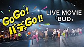 「BUDDiiS、さいたまスーパーアリーナで披露した「BUD」ライブ映像を公開」1枚目/2