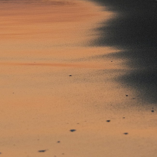 「荒谷翔大の新曲「真夏のラストナンバー」、LUCKY TAPESがリミックス」1枚目/3