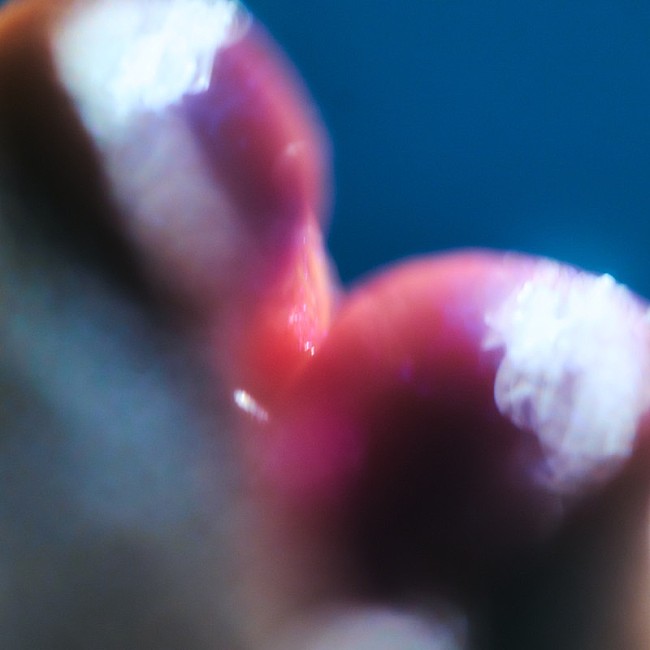 「Pii 配信シングル「街角ジオメトリー;」」2枚目/2