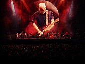 「古代ローマ遺跡で“光と音の大スペクタクルショー”、デヴィッド・ギルモア ライブ映画の見どころ」1枚目/2