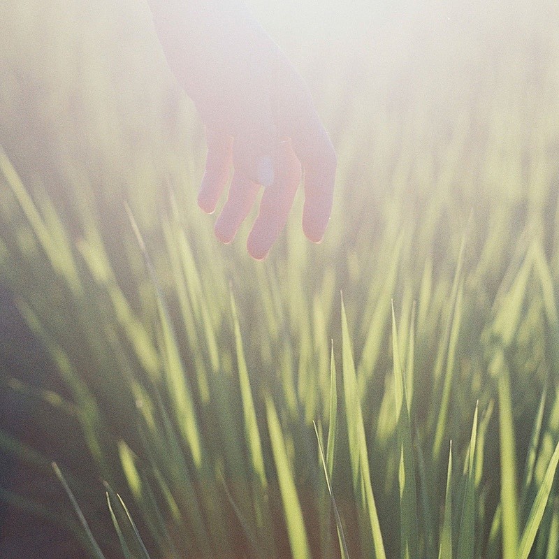 Hakubi、新曲「何者」リリース決定