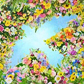 「シングル「空いっぱいに奏でる祈り」」2枚目/2