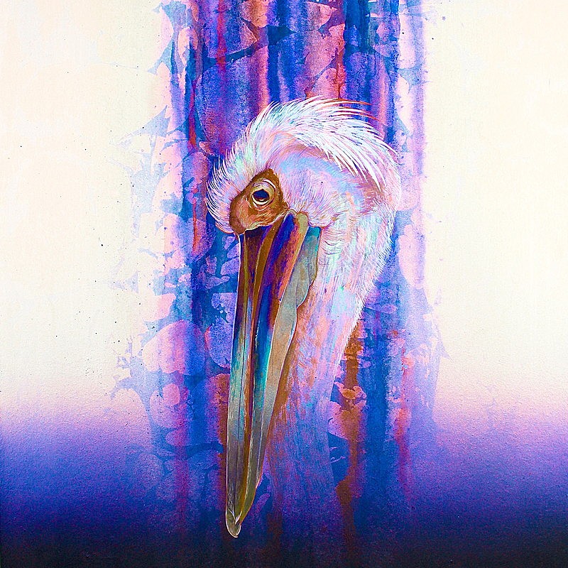 「ドミコ 配信シングル「誰にも言わないでいるよ」」2枚目/2