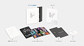 「フレデリック、2025年2月の武道館公演を映像作品化　レオ・レオニとのコラボアクリルスタンドなど付属の限定盤も」1枚目/5