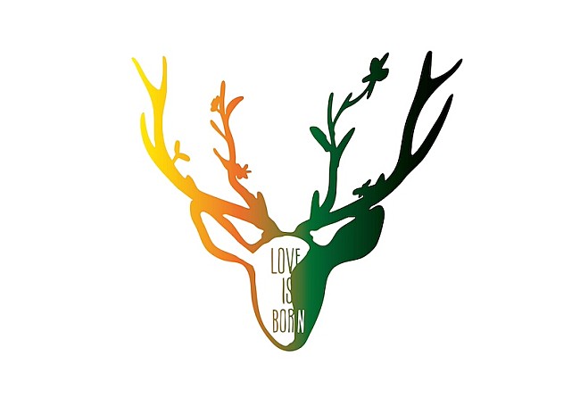 「大塚 愛、アニバーサリーライブ映像作品12/24発売決定」1枚目/2