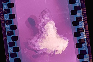 「りりあ。、アジアツアー台北公演が決定」