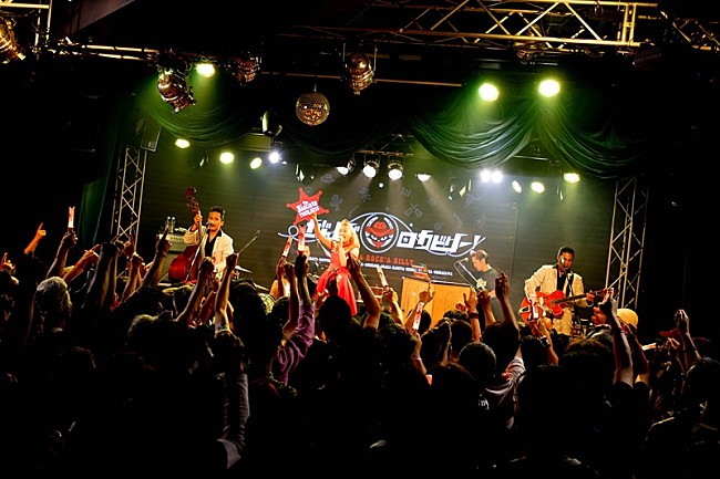 「The Biscats、2025年もMisaki（Vo.）の地元横浜で全国ツアー開幕　“ロカビリーの日”恒例の主催フェスも決定」1枚目/11