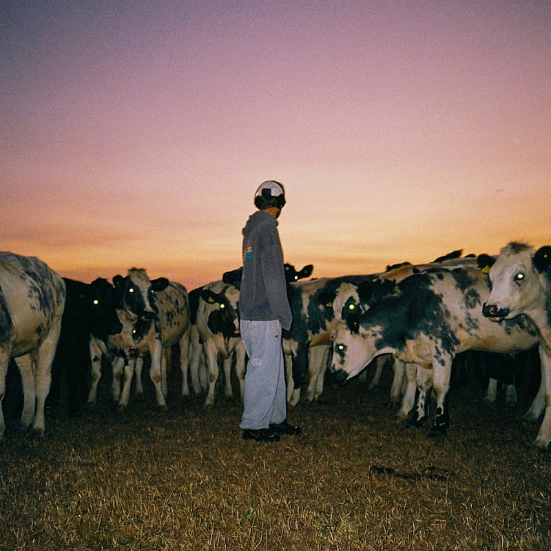 マム・トゥーディー、メロウな新曲「Daylight Dreaming」公開