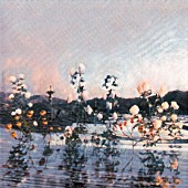 「あたらよ、ミニAL『泡沫の夢は幻に』発売＆配信開始」1枚目/2