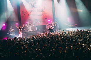 「Novel Coreがライブ映像を順次公開、第1弾は「A GREAT FOOL」」