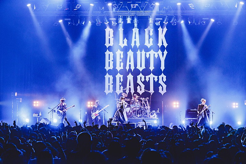 lynch.、20周年プロジェクト第6弾【BLACK BEAUTY BEASTS】東京公演の公式レポート到着