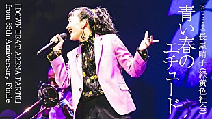「スカパラ、新作ライブBD＆DVDより「青い春のエチュード feat. 長屋晴子（緑黄色社会）」プレミア公開へ」