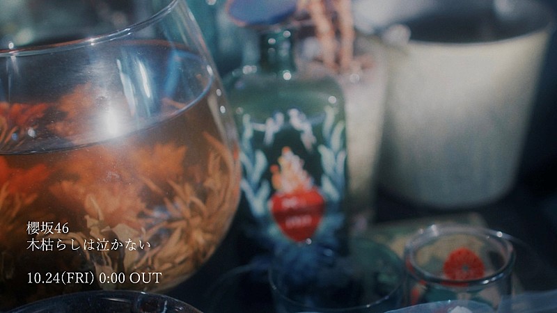 櫻坂46、谷口愛季センターのBACKS楽曲「木枯らしは泣かない」MV公開＆先行配信が決定