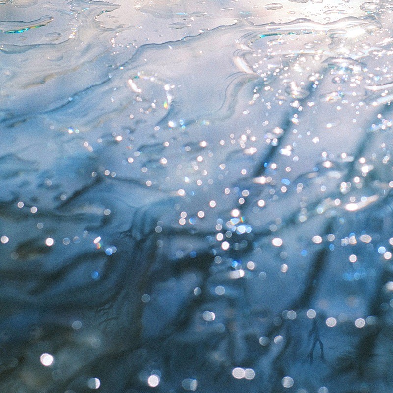 「(C)Yuta Shibamoto(stacks)」2枚目/3