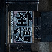 「サカナクション「怪獣」2億回突破／ILLIT「Magnetic」3億回突破：今週のストリーミングまとめ」1枚目/1