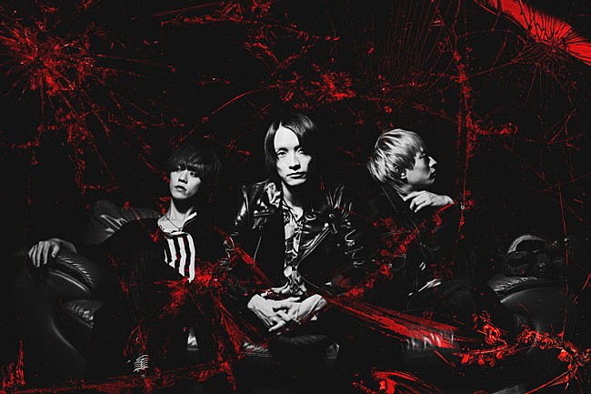 「シンガーズハイ」2枚目/2