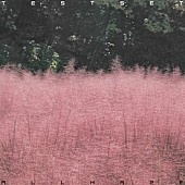 「TESTSET アルバム『ALL HAZE』」2枚目/3