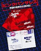 「ピンクパンサレス、2026年2月に初来日公演が決定」1枚目/1