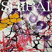 「龍宮城 デラックスアルバム『SHIBAI (Deluxe)』通常盤」3枚目/11