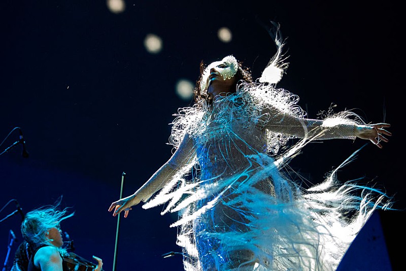 「ビョーク、米大統領の併合を望む発言を受けグリーンランドの人々に連帯のメッセージ「深い共感で胸がいっぱい」」1枚目/1