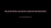 「BLACKPINK、約4年ぶりミニAL『DEADLINE』リリース決定」1枚目/1