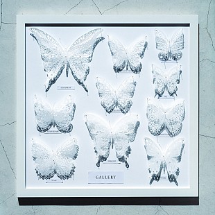 「沖聡次郎（Novelbright）、ビルボードライブ横浜単独公演に向けソロアルバム配信決定」