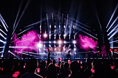 「BLACKPINK、東京ドーム3daysで16.5万人動員＆全国4大タワーを同時ライトアップ」1枚目/8