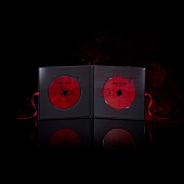 「King Gnu シングル『AIZO』初回生産限定盤」6枚目/8