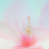 「tonun 配信シングル「青い春に (Re-recorded)」」2枚目/2