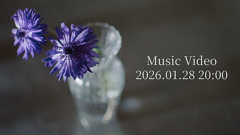 Novelbright、新曲「アネモネ」MVプレミア公開決定　ティザー映像には寺本莉緒の姿が