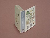 「ずっと真夜中でいいのに。 アルバム『形藻土』初回限定魔導書盤」3枚目/5