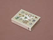 「ずっと真夜中でいいのに。 アルバム『形藻土』初回限定魔導書盤」4枚目/5