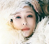 「加藤ミリヤ、3年ぶりのニューアルバム『Velvet Grace』リリース決定＆リスニング・イベント開催」1枚目/3