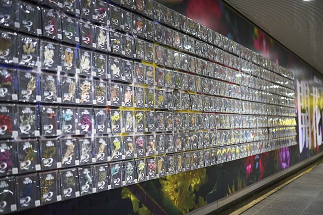 「Aile The Shota『REAL POP 2』ピールオフ広告」4枚目/5