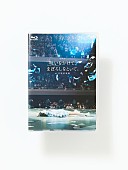 「通常盤」12枚目/13