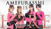 「AMEFURASSHI、ラストライブ【AMEFURASSHI IS HERE】U-NEXT独占ライブ配信決定」1枚目/1