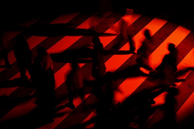 「『【Ado】ビバリウム』」2枚目/13