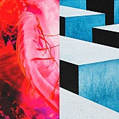 「 シングル『かすかなはな』通常盤」5枚目/6