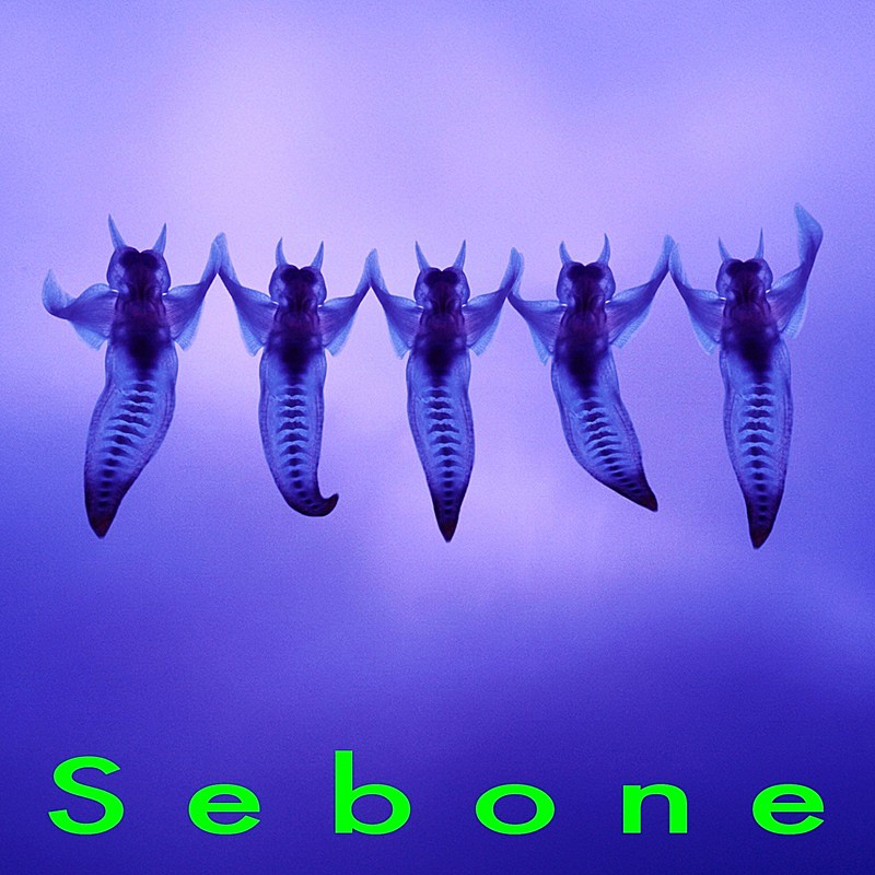 「アルバム『Sebone -脊髄盤-』ジャケット写真」3枚目/3