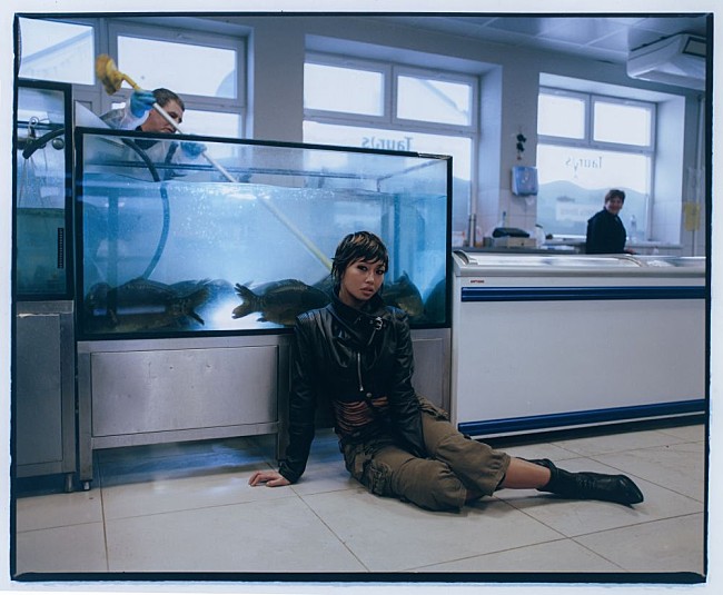 「ビーバドゥービー、ザ・マリアスを迎えた新曲「All I Did Was Dream Of You」をリリース＆MV公開」1枚目/2