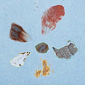 「Tele 配信シングル「ロープウェイ」」2枚目/2