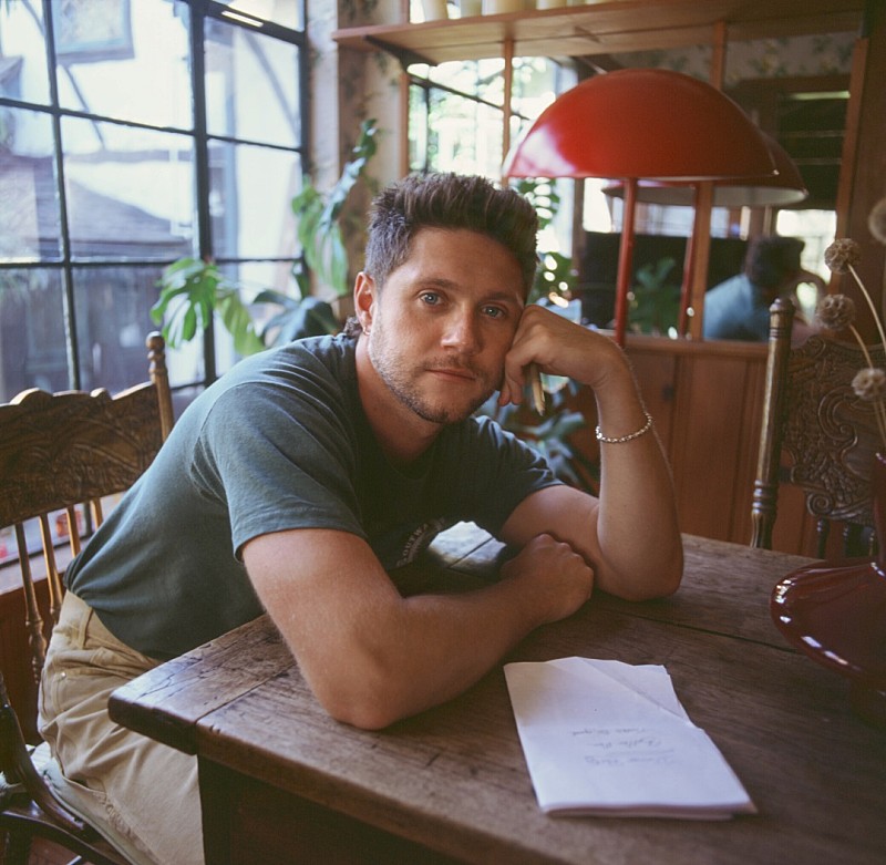 「ナイル・ホーラン、ニューAL『ディナー・パーティー』より偶然の出会いを描いたタイトル曲公開」1枚目/2