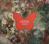 「STARGLOW シングル『USOTSUKI』BMSG MUSIC SHOP専売商品（CD＋DVD／Blu-ray）」5枚目/6